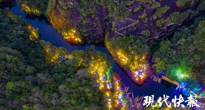植物大战僵尸11